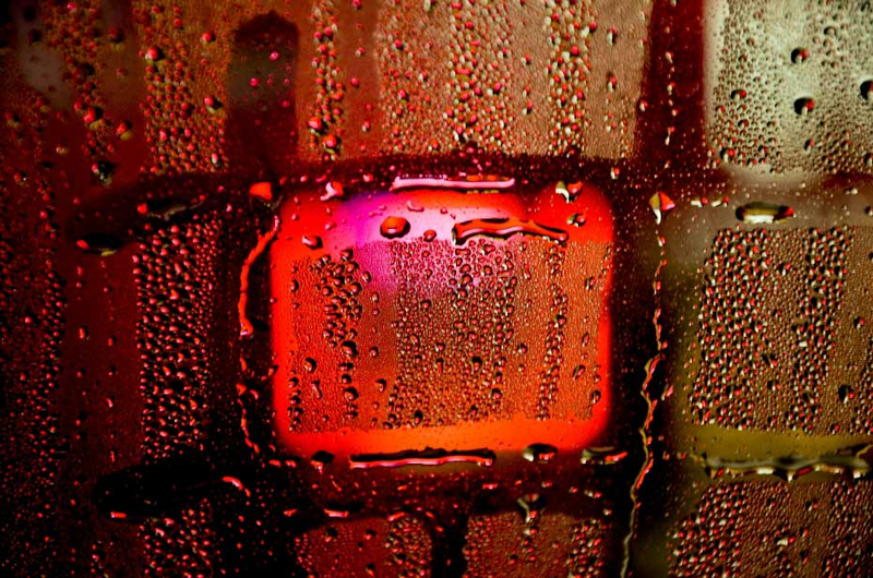 Illustration for article titled Shooting Challenge: Bokeh, Gallery 1